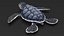 Baby Sea Turtle Black 3D model