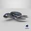 Baby Sea Turtle Black 3D model