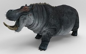 Hippopotamus 11 Animations 3D model