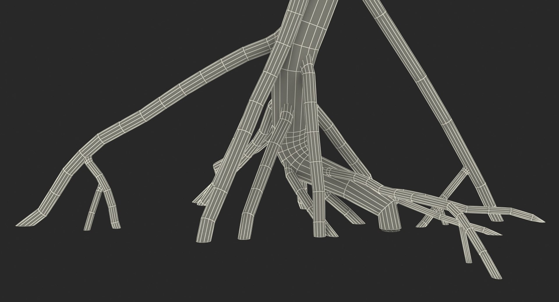 mangrove small tree 3D https://p.turbosquid.com/ts-thumb/Pg/MnRmJ8/OL2y0Xuo/mangrovesmalltree3dsmodel018/jpg/1556049799/1920x1080/fit_q87/322af3605026efd42d48859d8140f4bc1010bd51/mangrovesmalltree3dsmodel018.jpg