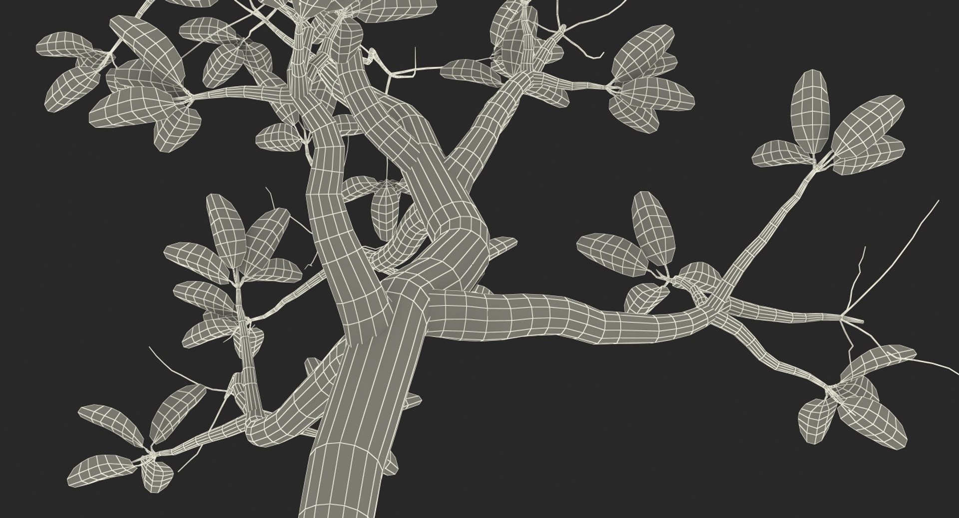 mangrove small tree 3D https://p.turbosquid.com/ts-thumb/Pg/MnRmJ8/PE9tnhky/mangrovesmalltree3dsmodel017/jpg/1556049795/1920x1080/fit_q87/ea188036351776eedeca7971a46c47206d7c2b78/mangrovesmalltree3dsmodel017.jpg