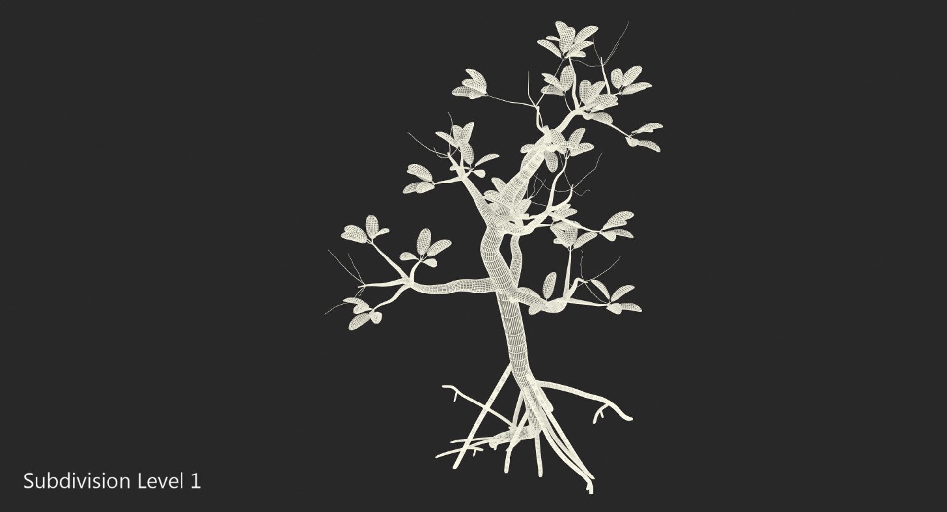 mangrove small tree 3D https://p.turbosquid.com/ts-thumb/Pg/MnRmJ8/yquDVfbs/mangrovesmalltree3dsmodel011/jpg/1556049770/1920x1080/fit_q87/c643d4951f0a0fce7970771855ce8b9a6193c0a6/mangrovesmalltree3dsmodel011.jpg