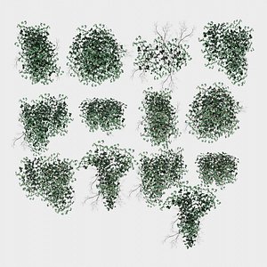 3D 13 in 1 Bushes Collection 01 Ivy model