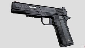 Nighthawk Custom Agent 2