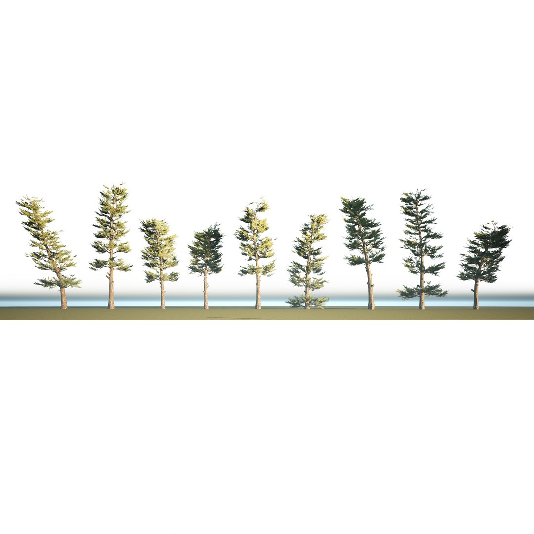 3D Conifer Forest 3d scene model https://p.turbosquid.com/ts-thumb/Pg/cdLGWZ/3W/03pp02/jpg/1657616823/1920x1080/fit_q87/d4963d118e3728cbb952d14c091eeb6dcbe2d805/03pp02.jpg