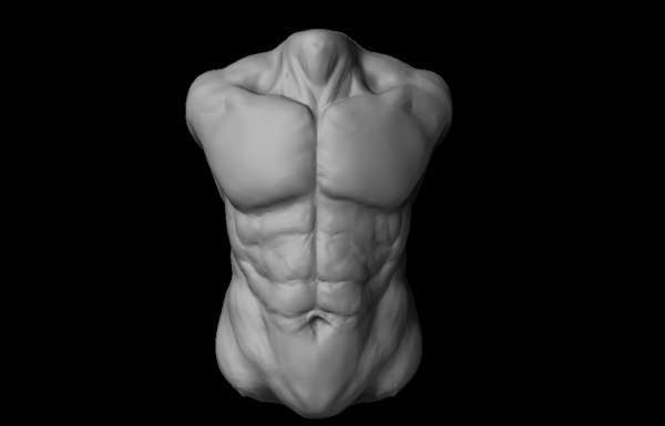 3d torso skin detail nude zbrush