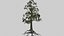 Pack tempiale shintoista giapponese basso poli con materiali PBR