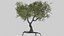 Pack tempiale shintoista giapponese basso poli con materiali PBR