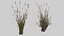 Pack tempiale shintoista giapponese basso poli con materiali PBR