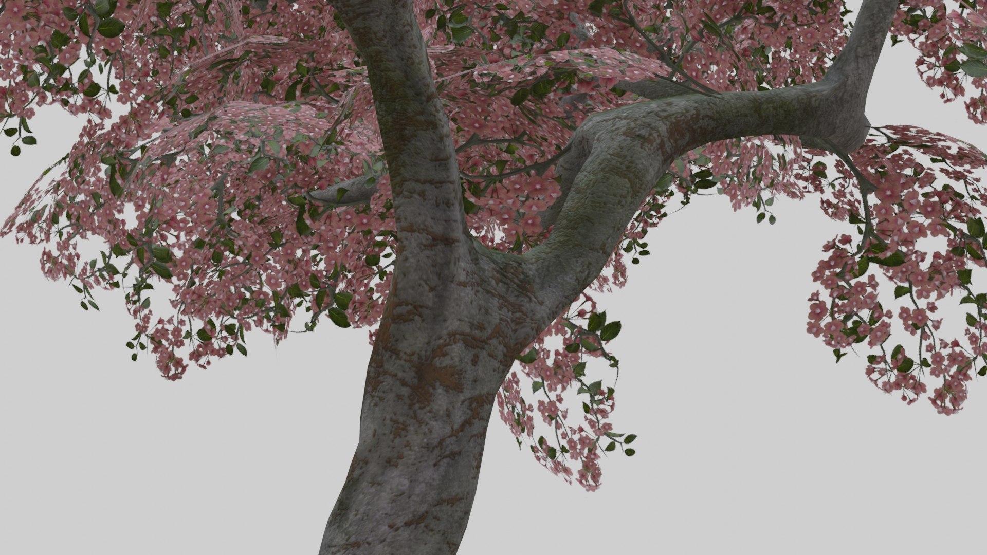 japanese shinto temple pack model https://p.turbosquid.com/ts-thumb/Pg/hcEprD/JsKJW8uo/preview69/jpg/1572913444/1920x1080/fit_q87/8f9d70b867f71dbac3fc41278ce21cda9a549481/preview69.jpg