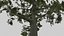 Pack tempiale shintoista giapponese basso poli con materiali PBR