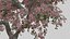 Pack tempiale shintoista giapponese basso poli con materiali PBR