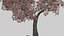 Pack tempiale shintoista giapponese basso poli con materiali PBR