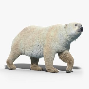 max polar bear fur rigged