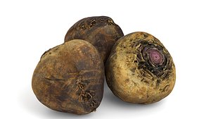 3D Beetroot - Photorealistic Scan