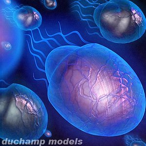 3d model life tentacles
