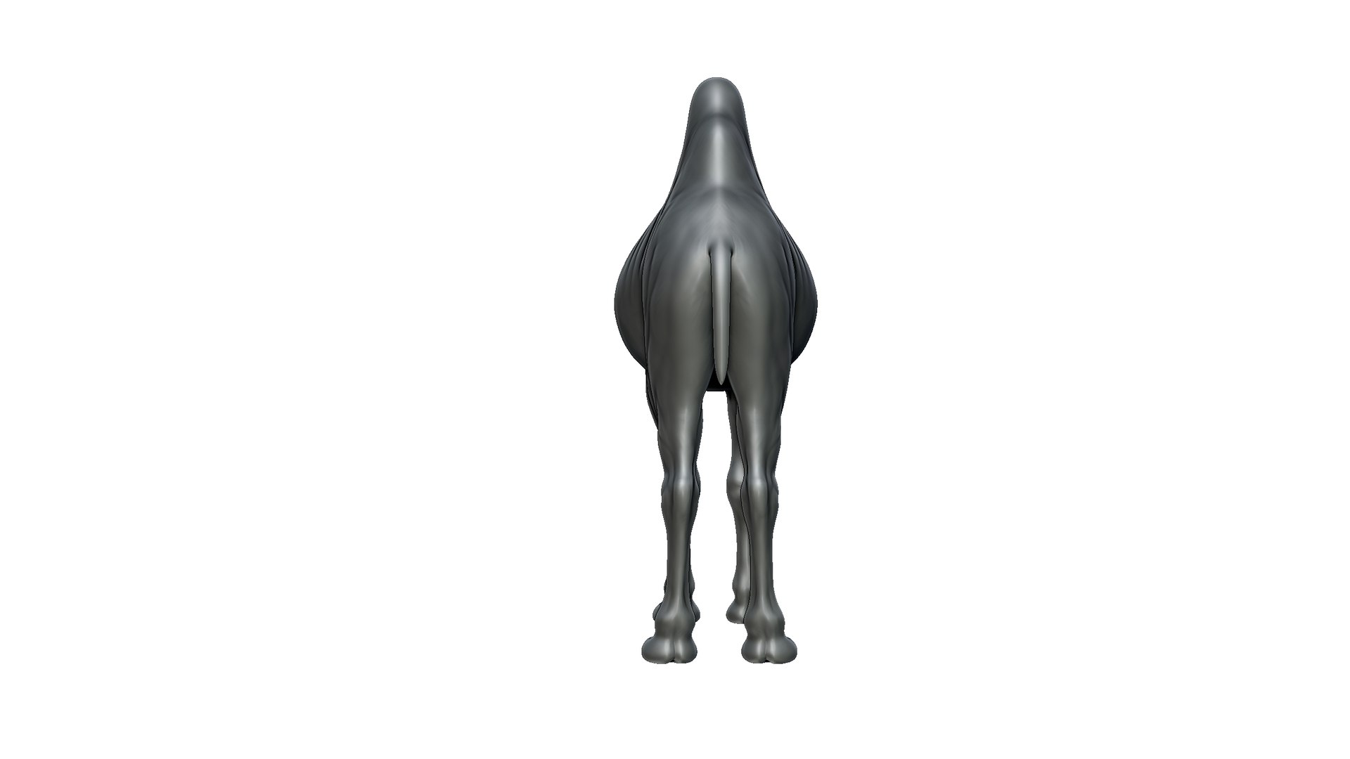 camel model https://p.turbosquid.com/ts-thumb/Pg/umRIZ2/2G/7/jpg/1725719225/1920x1080/fit_q87/4e047b64b475afb2fddefbf93976302056cf05b4/7.jpg