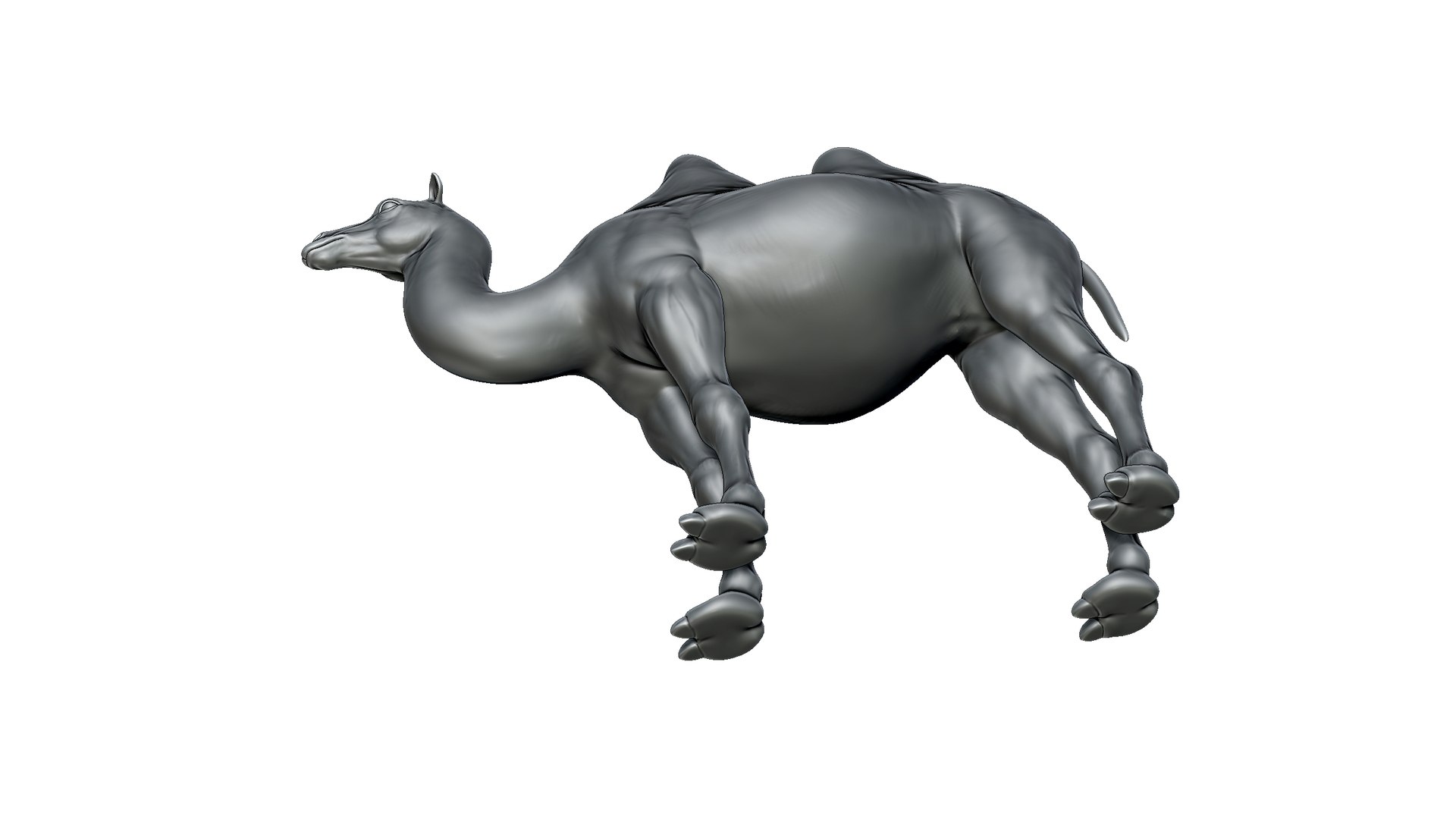 camel model https://p.turbosquid.com/ts-thumb/Pg/umRIZ2/ba/8/jpg/1725719227/1920x1080/fit_q87/1ca58e70767ddbdb68e994ce70bb61773b005031/8.jpg