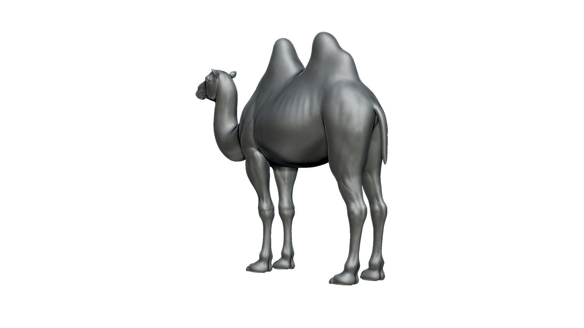 camel model https://p.turbosquid.com/ts-thumb/Pg/umRIZ2/gQ/6/jpg/1725719225/1920x1080/fit_q87/a6c63481b7a2d737c3d11148c97d52a6619cb85c/6.jpg