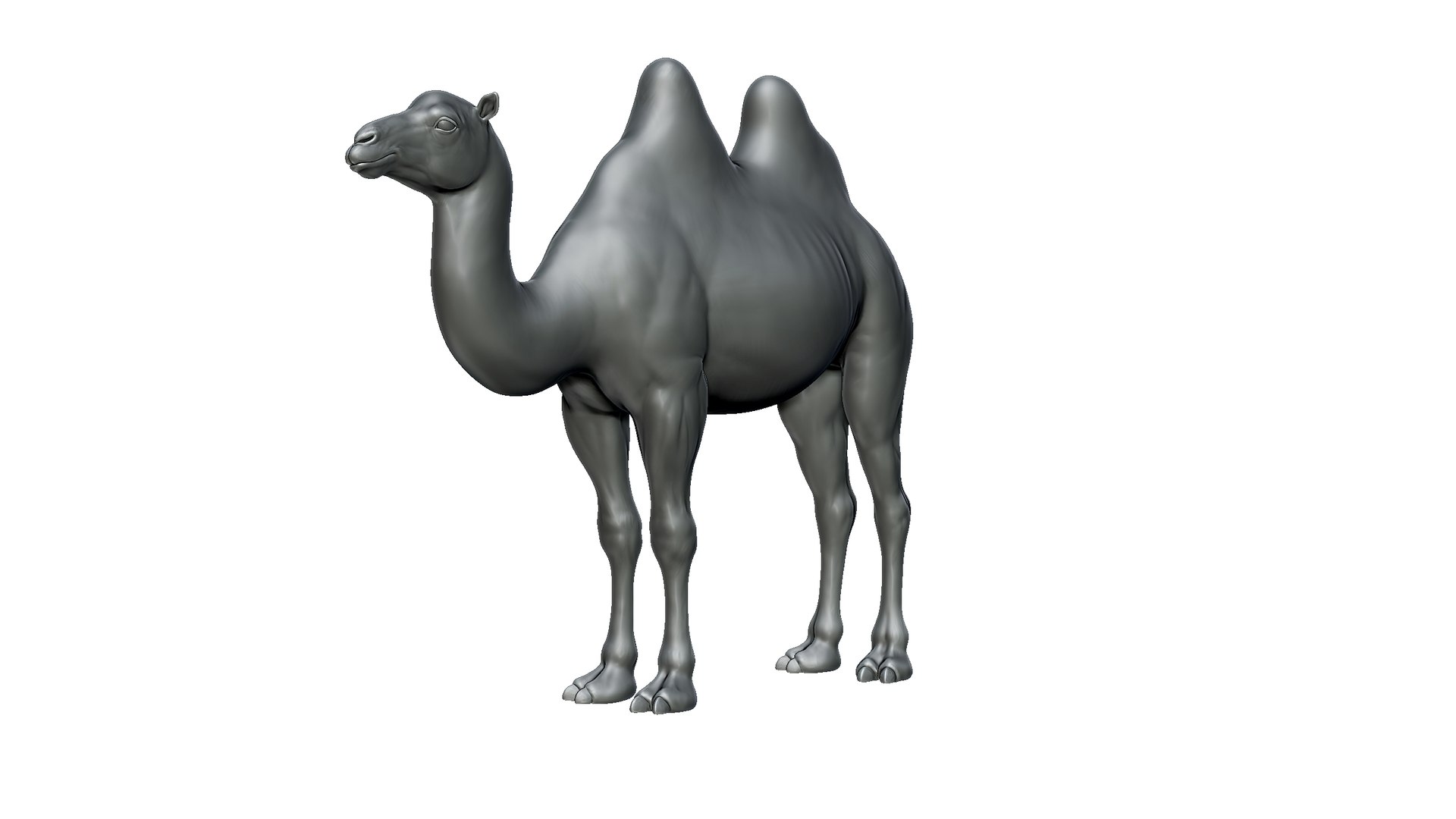 camel model https://p.turbosquid.com/ts-thumb/Pg/umRIZ2/lj/4/jpg/1725719222/1920x1080/fit_q87/812676315cea85d9508ea8f46b2482b88fcfa0c5/4.jpg