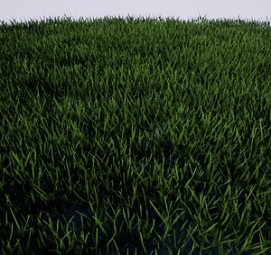 grass ready terrain 3D model