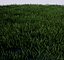 Low Poly Grass