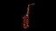 Alto Saxophone