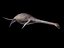 plesiosaur plesiosaurus l max
