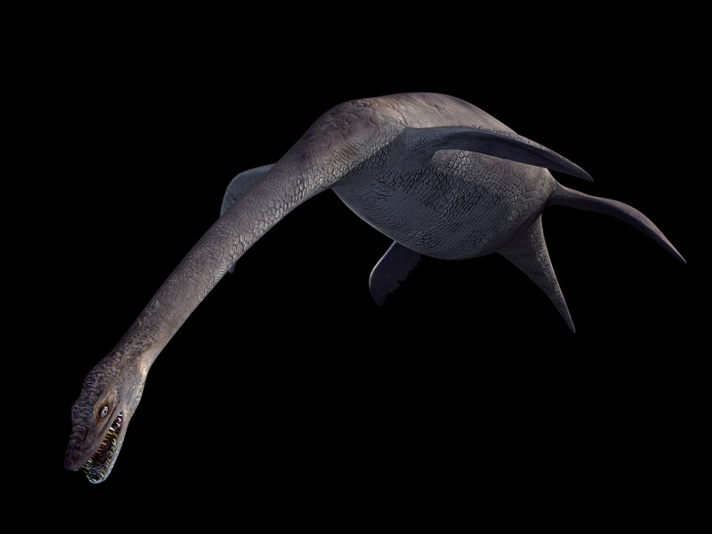 plesiosaur plesiosaurus l max https://p.turbosquid.com/ts-thumb/Ph/8wNr4K/asJg9V3S/tavolamaster1/jpg/1465294426/1920x1080/fit_q87/91ea1d55ab6c0f6571a14bb8f50df8882070a8ee/tavolamaster1.jpg
