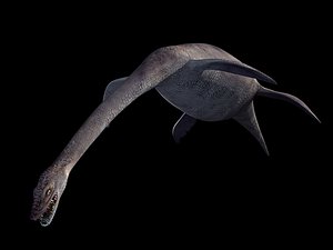 Plesiosaurus