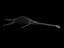 plesiosaur plesiosaurus l max