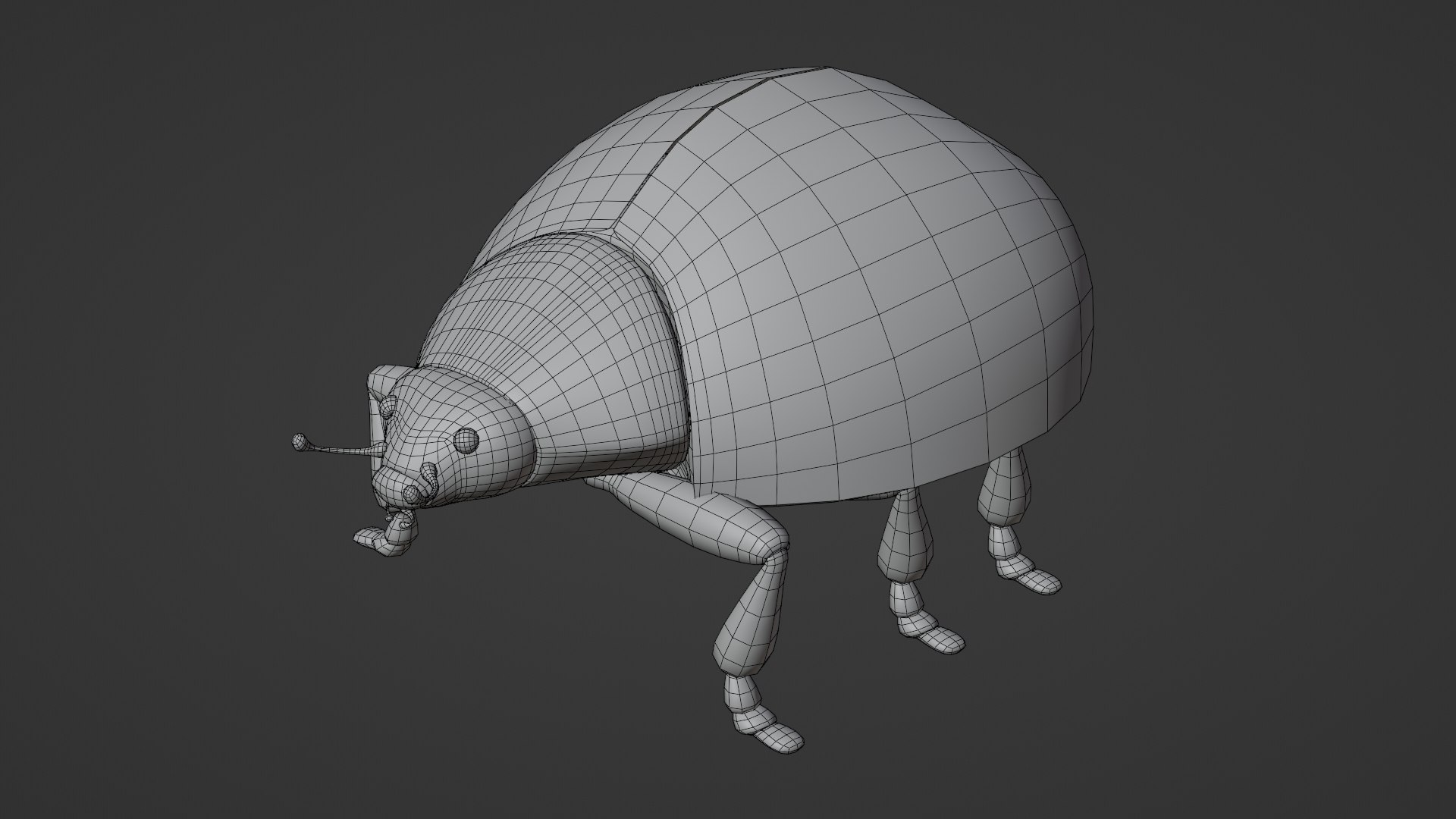 3D Model Ladybug Rigged And Animated - TurboSquid 2290674