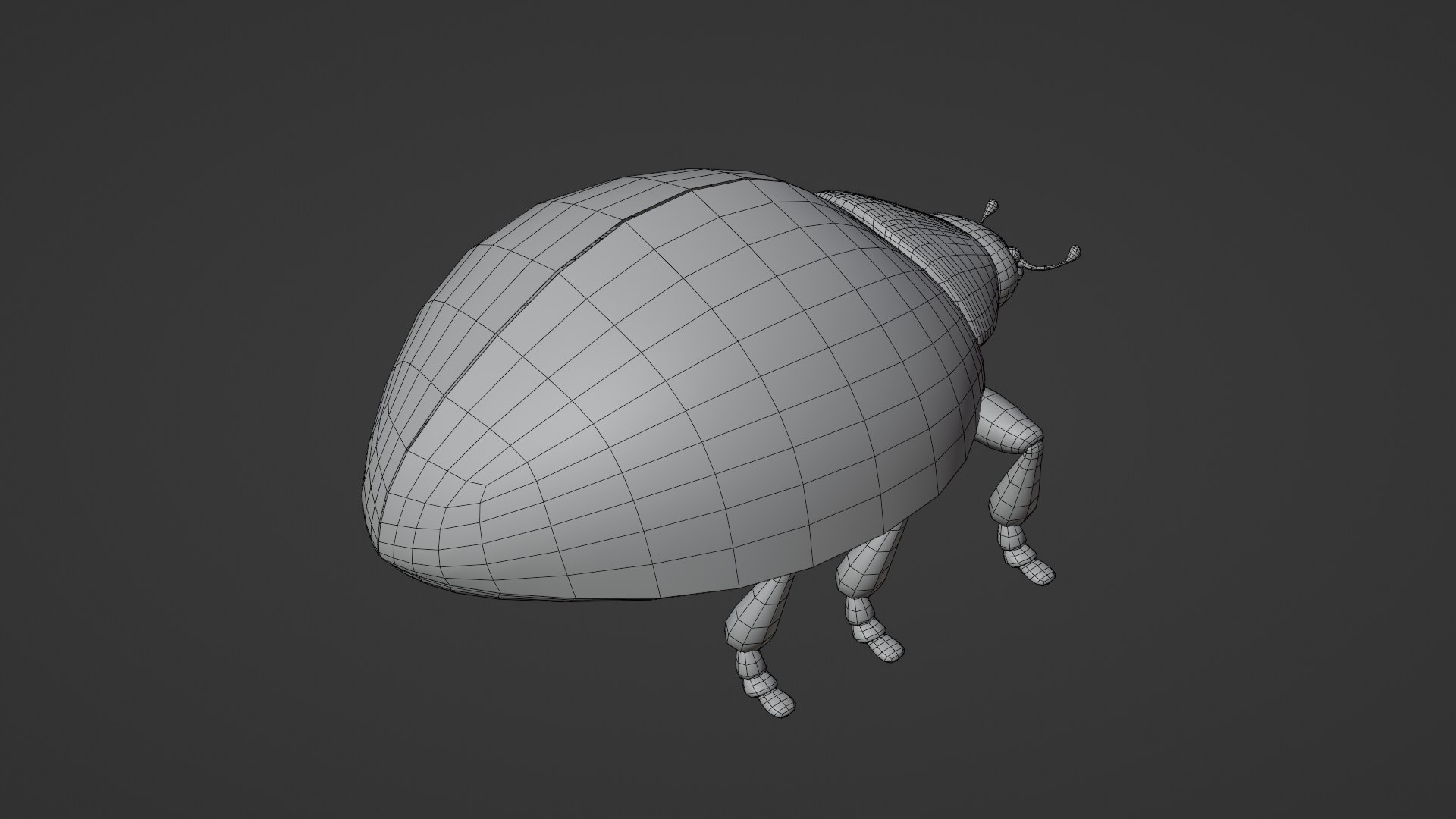 3D Model Ladybug Rigged And Animated - TurboSquid 2290674