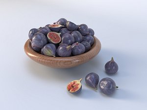 Ficus carica model
