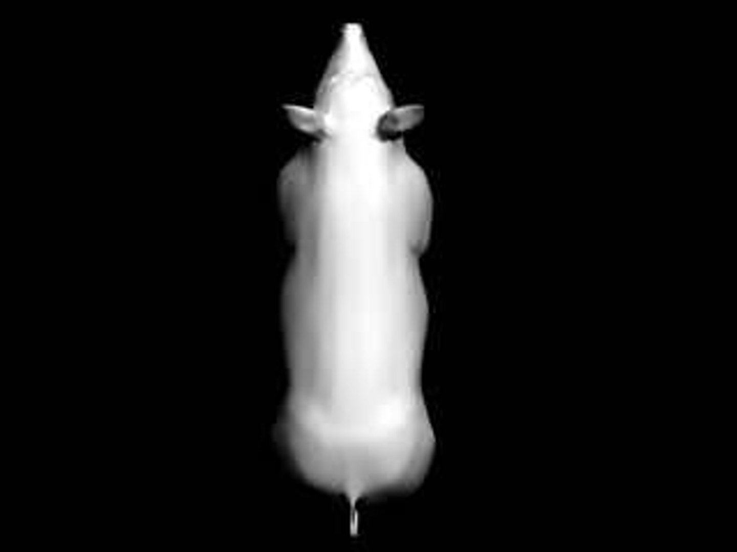 3ds max pig sow https://p.turbosquid.com/ts-thumb/Ph/Maj5BG/OytYVG71/toppig/jpg/1151839282/1920x1080/fit_q87/7cdda2f9466332d500727259660365b0c1cc62ea/toppig.jpg