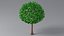 Cartoon Tree Small 03 model
