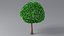 Cartoon Tree Small 03 model