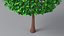Cartoon Tree Small 03 model