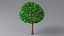 Cartoon Tree Small 03 model