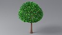 Cartoon Tree Small 03