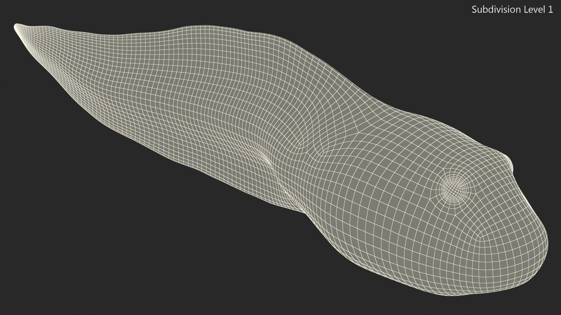Tadpole 3D model https://p.turbosquid.com/ts-thumb/Ph/lCO48V/Bb/tadpole3dsmodel016/jpg/1618449683/1920x1080/fit_q87/e1cba6e5e2f30a9bdf2ff3c96e4d1671c4949ba2/tadpole3dsmodel016.jpg