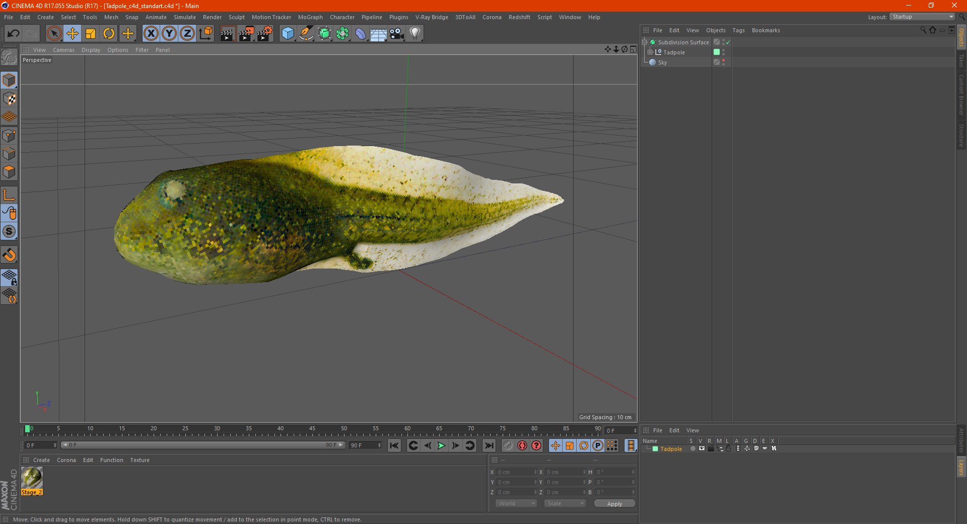 Tadpole 3D model https://p.turbosquid.com/ts-thumb/Ph/lCO48V/Td/tadpole3dsmodel020/jpg/1618449757/1920x1080/fit_q87/1327c00f50da07a2a5c12d7515fd770ff132422a/tadpole3dsmodel020.jpg