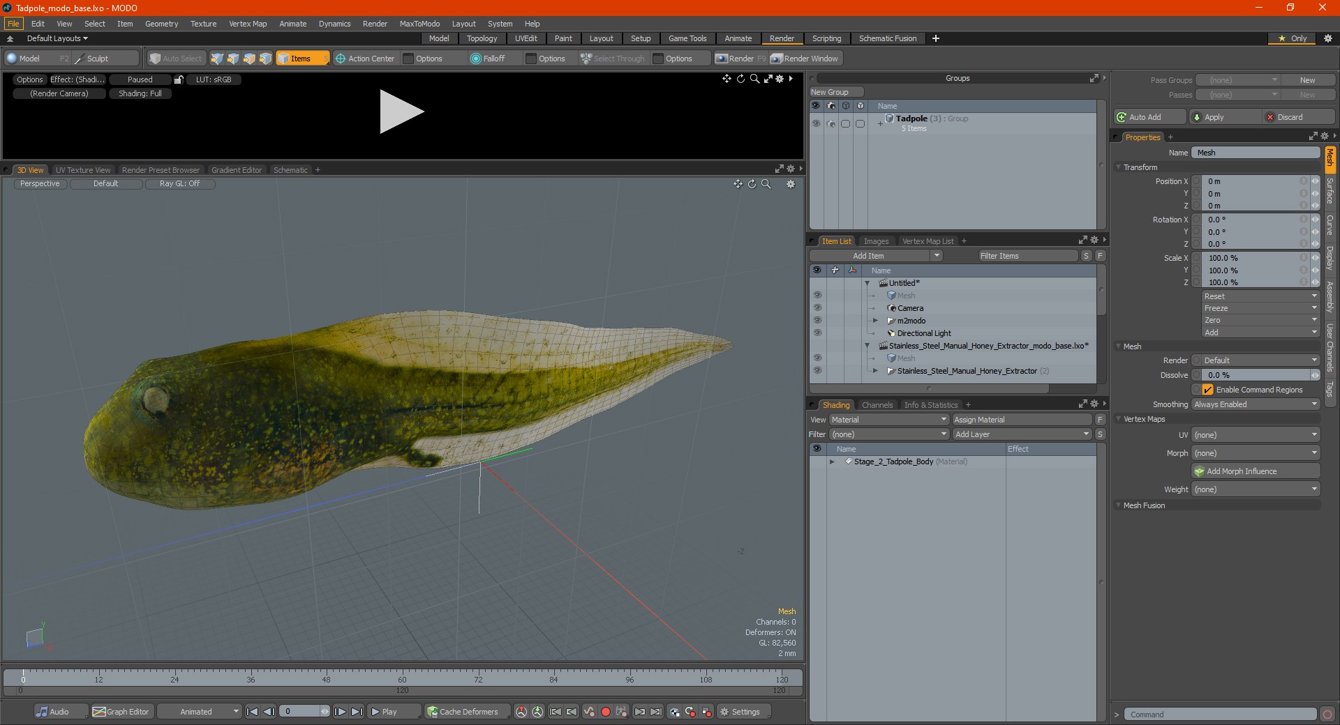 Tadpole 3D model https://p.turbosquid.com/ts-thumb/Ph/lCO48V/ct/tadpole3dsmodel023/jpg/1618449810/1920x1080/fit_q87/b29dc995851c9c53f097969ed506d41f245b4988/tadpole3dsmodel023.jpg