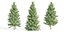 coniferous pine collection vol 2-Blender-3dmodel