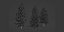 coniferous pine collection vol 2-Blender-3dmodel
