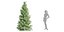 coniferous pine collection vol 2-Blender-3dmodel