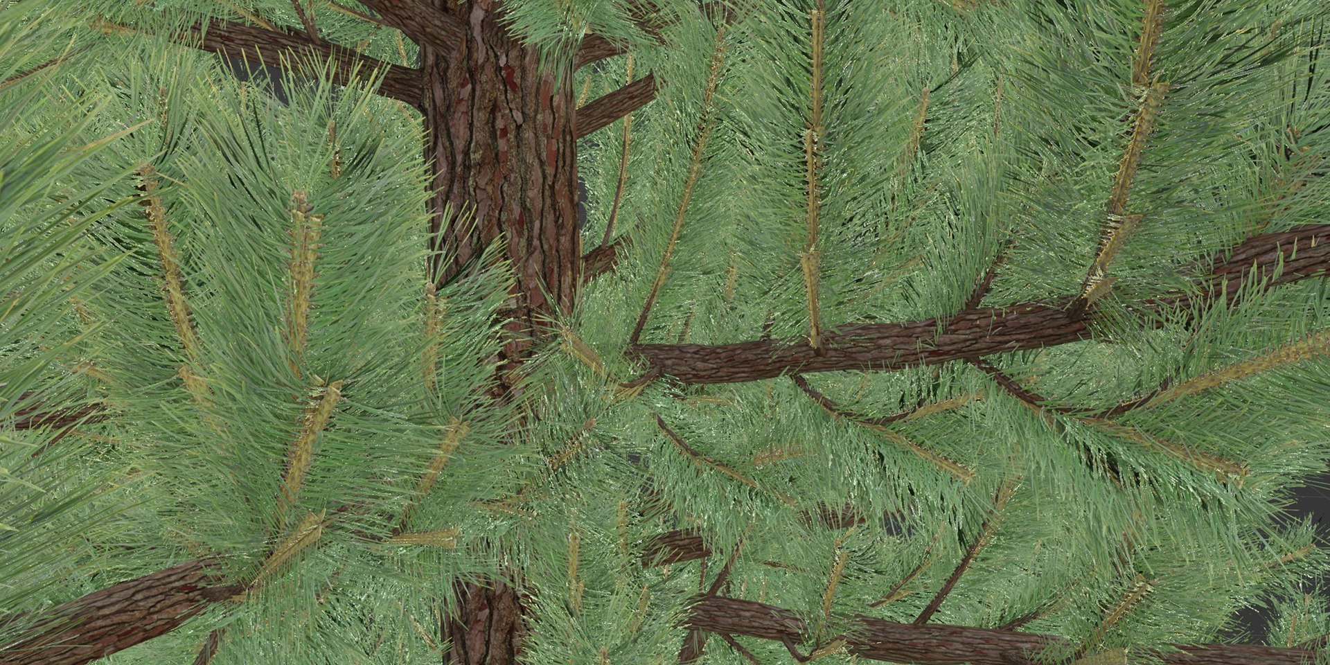 3D coniferous pine collection vol 2-Blender https://p.turbosquid.com/ts-thumb/Pi/1ekV8N/ZY/8/jpg/1694453446/1920x1080/fit_q87/6129c610425ebf9cf62ed5ec8680cdc989358037/8.jpg
