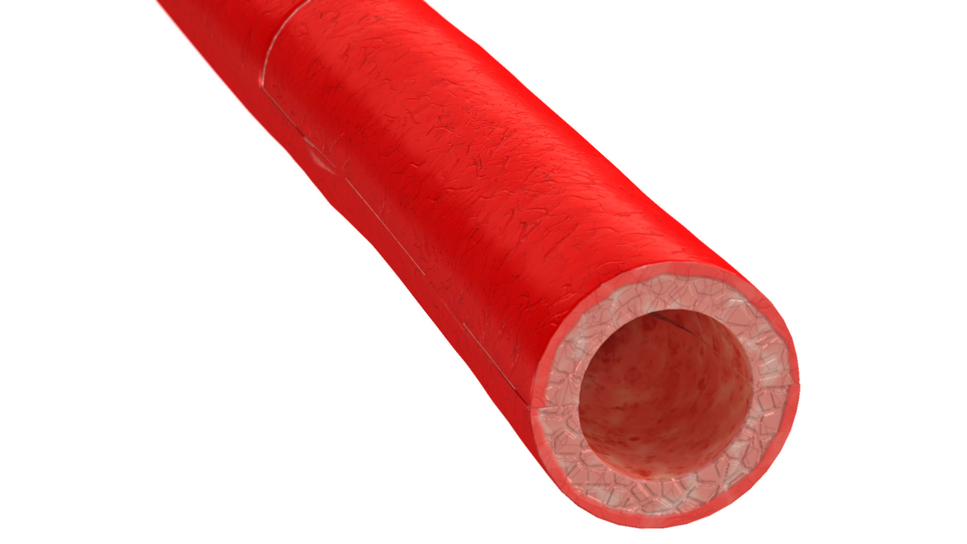 3D stents artery https://p.turbosquid.com/ts-thumb/Pi/6DXgFO/BcfW1aPR/turntable/jpg/1605039237/1920x1080/turn_fit_q99/dbb3ccfc65856d35e51b57736bb97a85fb7aefb0/turntable-1.jpg