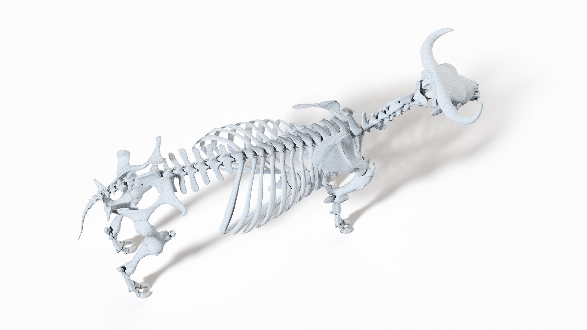 Bull Body, Skeleton and Lymphatic System Static model - TurboSquid 1724132
