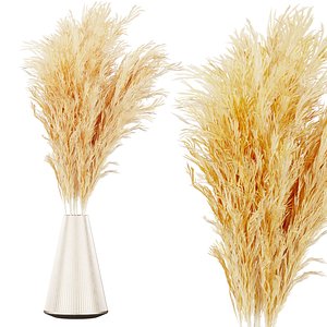 Collection plant vol 643 - Bouquet -dried - flowers - pampas 3D